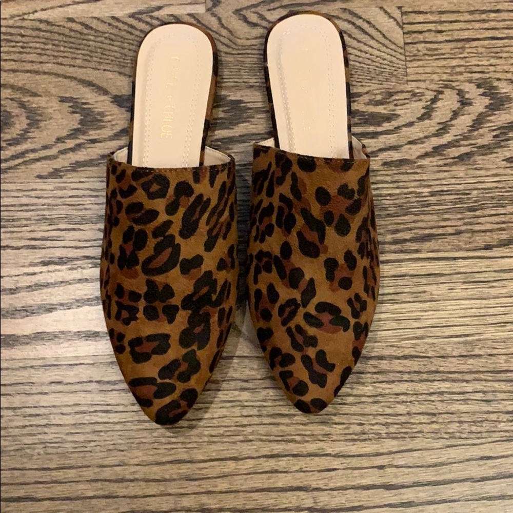 NWOT Slides